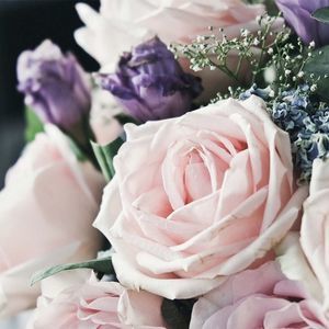 Meet your Posher, Love